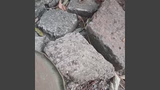 Aku Rindu Pcrku