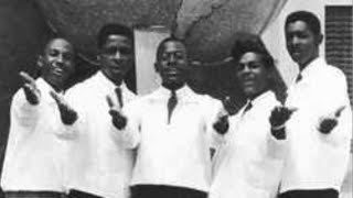 The Salvadors - Stick By Me Baby