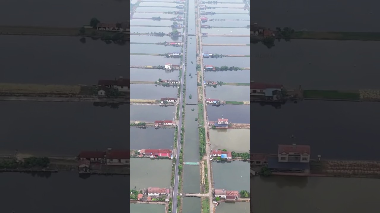 The Jianghan Plain is known for its extensive network of lakes, rivers, and canals #china #home