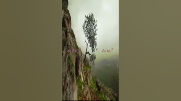 Finding True Success: Self-Acceptance, Passion, and Purpose #shorts