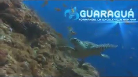 XXVI Jornadas Infociencias 2011 (Creando Conciencia Tecnológica) Promo 47