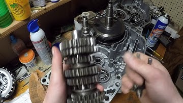 Yamaha raptor 350 and Yamaha warrior 350 engine rebuild part 1
