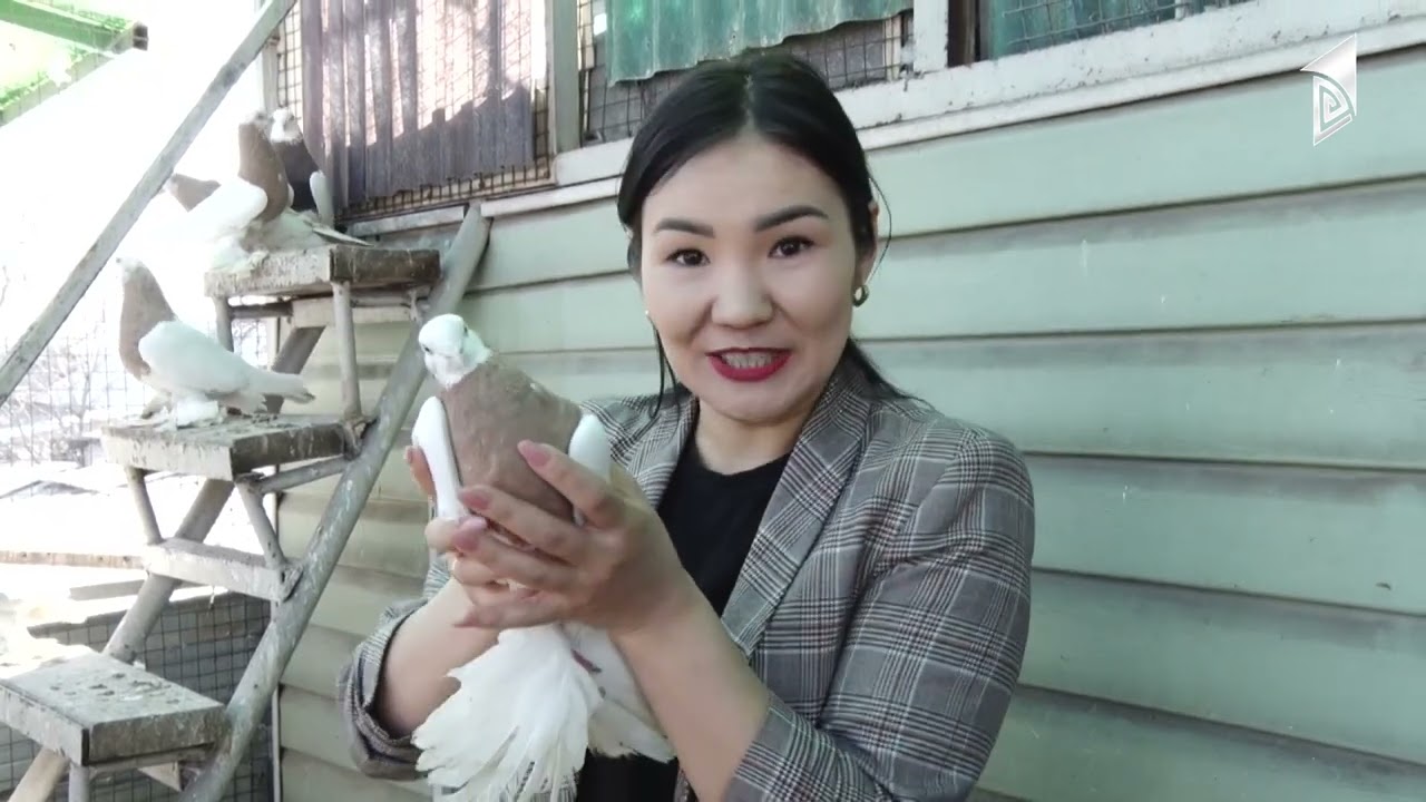 Бийчи көгүчкөндөр