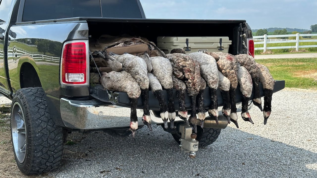 Goose Hunting Opener 2023 YouTube