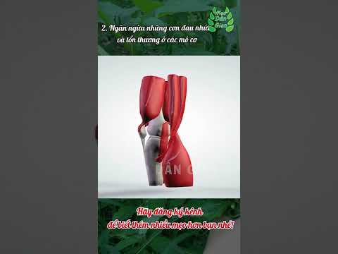 Video Công Dụng Bất Ngờ Của Cây Tầm Bóp | Mẹo Dân Gian - youtube