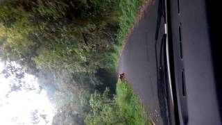 VID 20141111 134130