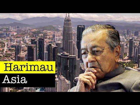 Video: Bagaimana Untuk Selamat Dari Krisis Kewangan