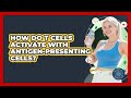How Do T Cells Activate With Antigen-presenting Cells? - All About the Immune System