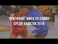 ФИНАЛЫ! Чемпионат мира по самбо среди кадетов 2018. День 2