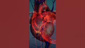 Fascinating facts about your heartbeat !  #heartbeat #facts #heartfact #didyouknow #heart