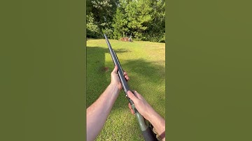 Single shot 10 Gauge. Makes you feel like you are really doing something.