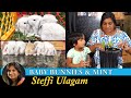 Baby bunnies vlog in tamil  growing mint at home in tamil