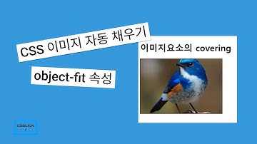 CSS 이미지 자동 채우기 object-fit