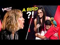 Coaches were Ready for Her... but NOT the Parrot! | The Voice