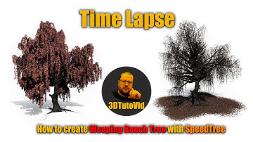 How to create Weeping Beech Tree with SpeedTree Time Lapse