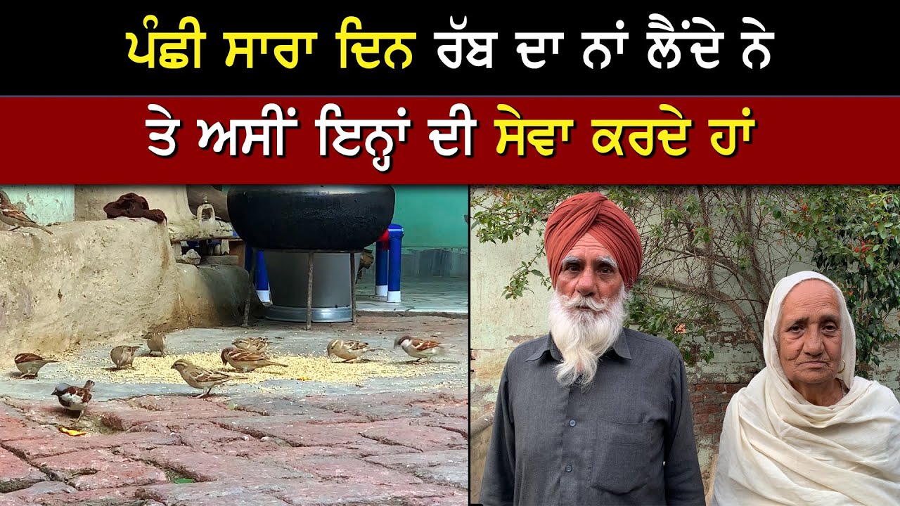 ਚਿੜੀ ਜਨੌਰਾਂ ਦੇ ਭਾਗਾਂ ਦੀ ਫਸਲ ਬੀਜਣ ਵਾਲਾ ਬਜ਼ੁਰਗ ਕਿਸਾਨ ਜੋੜਾ