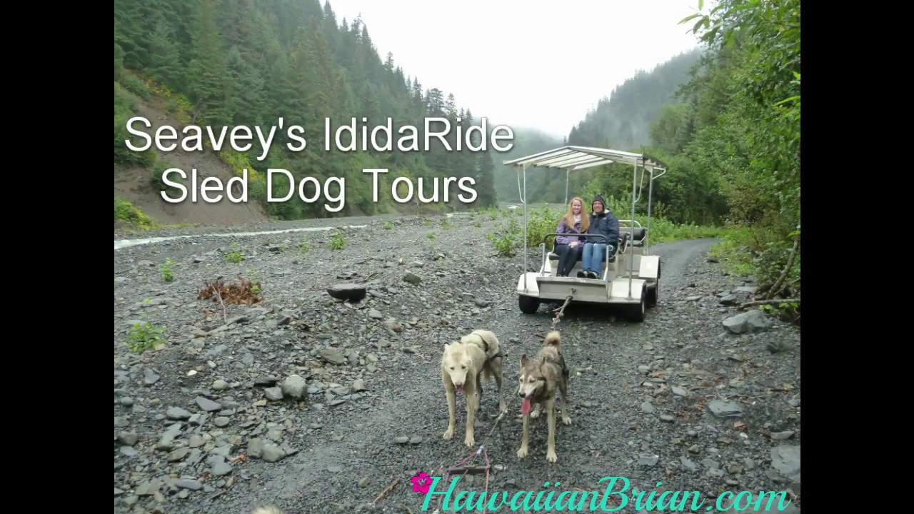 Seavey's Ididaride Sled Dog Tour