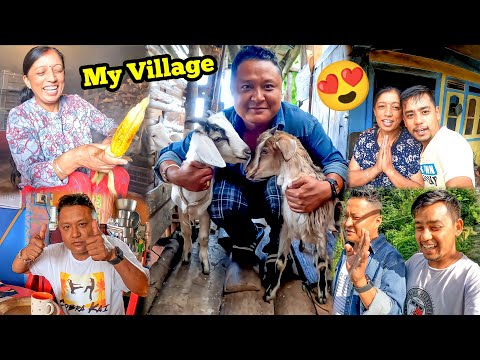 This Is My Village Life In Darjeeling | My Friend From USA experiencing Village Life