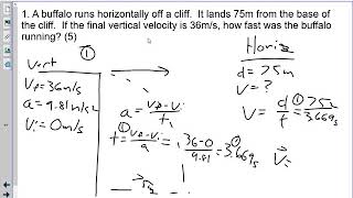 Famous Kinematics Quiz #12 Projectile Motion Net Worth