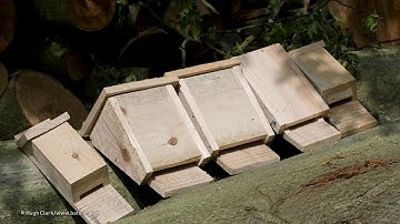 A Introduction to Bats and Bat Boxes
