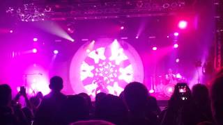 Lindsey Stirling - Electric Daisy Violin Live