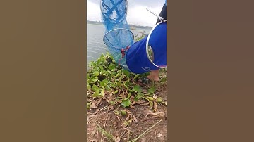 Câu cá hồ thiên nhiên bà rịa vũng Tàu