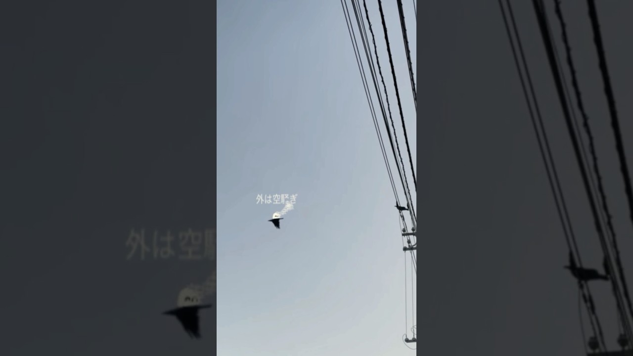 nȠ