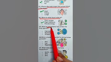Anatomy Quiz-many did you get correct? ✅ 7/7? Drop your score below! 👇😎 #anatomy #quiztime #quiz