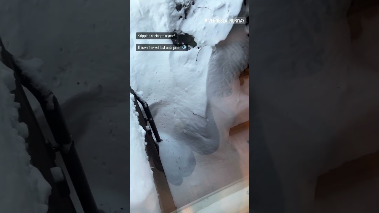 No spring this year! 