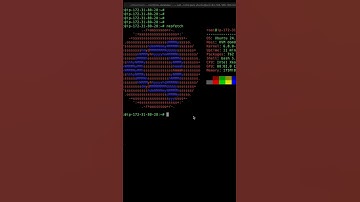 Ubuntu system information cli! #shorts #linux