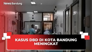 KASUS DBD DI KOTA BANDUNG MENINGKAT  @InewsJabar (280324)