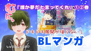 【腐向け】誰か夢だと言ってくれ　みっしぇる先生Part1【BL感想】