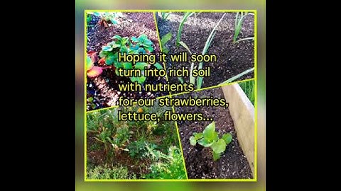 School Composting Workshop