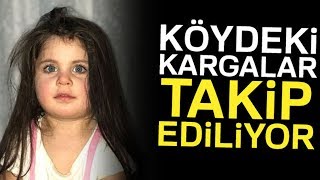 Leyla İçin Batman’dan Gelen Avcı Ekibi Dürbünlerle Kargaları Gözlüyor