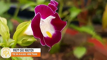 Phút Cầu Nguyện, Thứ Ba 24/10/2023: Điều thắc mắc của người công chính