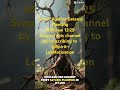 Prayer Against Satanic Planting. #christianmotivation #prayer #biblestudy #bibleverse