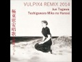 勅使河原美加の半生 Jun Togawa -- Teshigawara Mika no Hanseii (remix vulpix4)