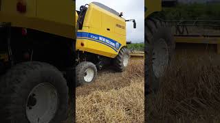 İş Makinaları Ve Tarım Videoları Biçer Döver New Holland Tc 5.80 Arpa Hasatı