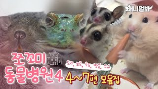 [쪼꼬미 동물병원 시즌4] 내원 환자 모음집 Part.2 4~7편ㅣ[Animal Hospital for Tiny Animals 4] Compilation of Ep 4 to 7