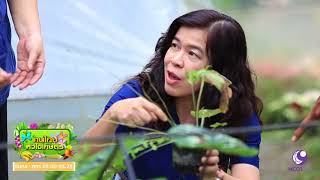 คนไทยหัวใจเกษตร  05 กันยายน 2560 B2
