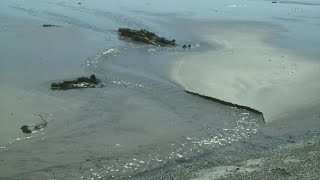Swimmers warned of elevated bacteria levels at Willard Beach