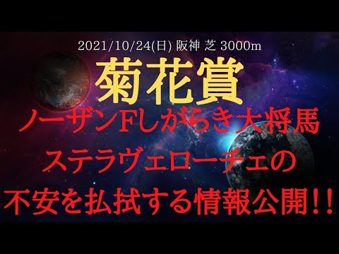 【重要】菊花賞 2021 ノーザンファームしがらき大将馬・ステラヴェローチェの不安を払拭する情報公開!【中央競馬重賞予想】