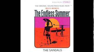 Theme From The Endless Summer by THE SANDALS