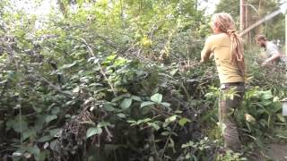 Sharing the Land. Song for those wanting to work or share the land.
Anyone got land to share?
Looking for skilled workers to help you manage the land?
If so, check out this lovely song from some people that want to help.
The website is going live on 1st February. Please share and let others know that this is happening. Sharing the Land. Song for those wanting to work or share the land.