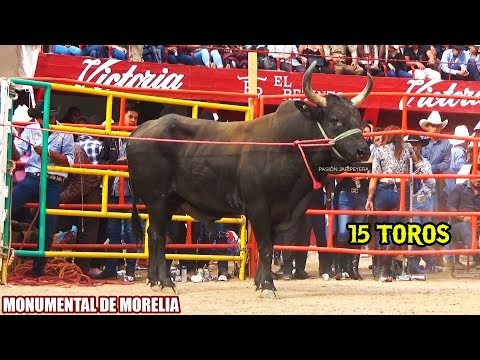 TE ATREVERIAS A MONTARLOS? CADA JINETE MONTA 3 TOROS EN LA MONUMENTAL DE MORELIA 2019