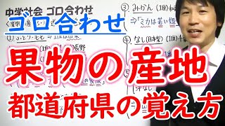 中学社会 ゴロ合わせ 果物の産地 都道府県の覚え方 勉強 Youtube スタディチューブ