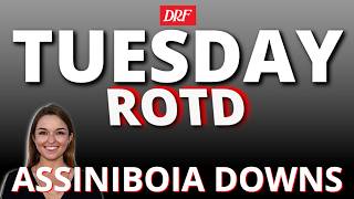 DRF Tuesday ROTD | Race 5 at Assiniboia Downs