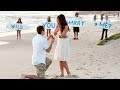 TOP 5 Best Marriage Proposal Videos - Cutest and Most Beautiful Marriage Proposals Ever