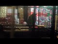 Cucak Ijo Full Isian Suara Ngeplong 2020x Full isian(.mp3 .mp4) Mp3 - Mp4 Download