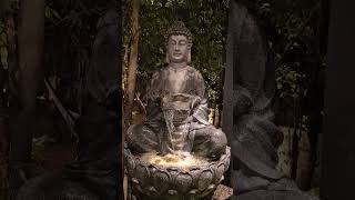 #budham sarnami